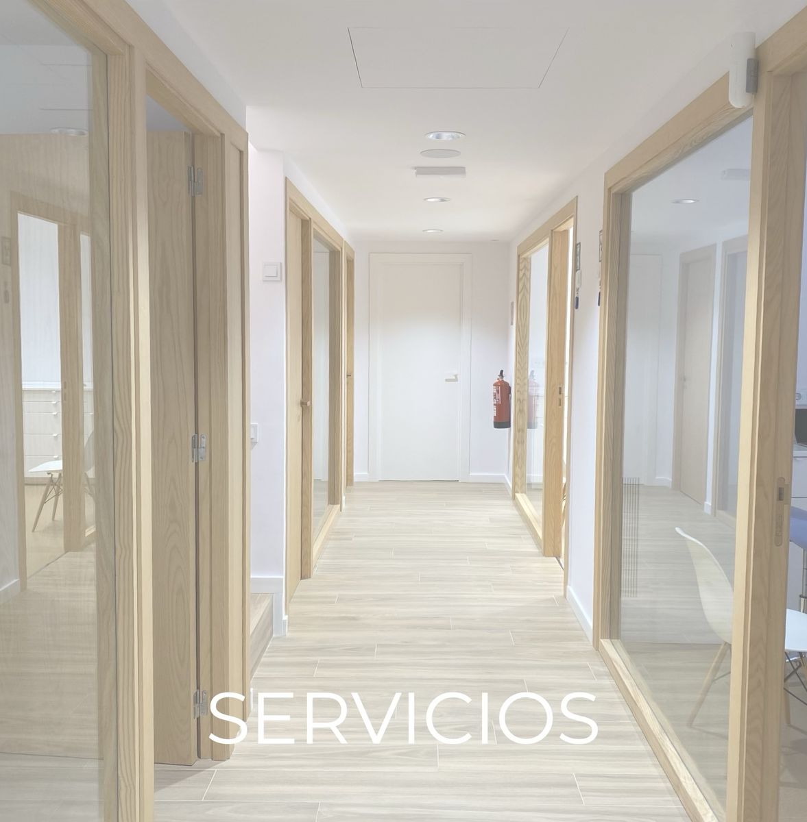 Servicios